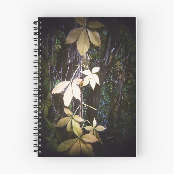 Item preview, 2015 Note di autunno designed and sold by robertoferrero.