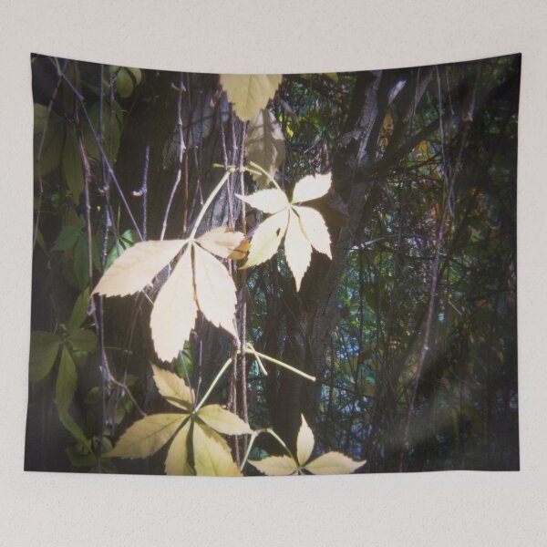 Item preview, 2015 Note di autunno designed and sold by robertoferrero.