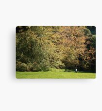 proportion Canvas Print