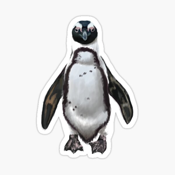 African Penguin Sticker