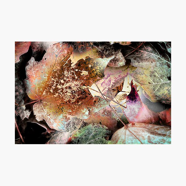 Item preview, Fragility designed and sold by Claude Johnson.