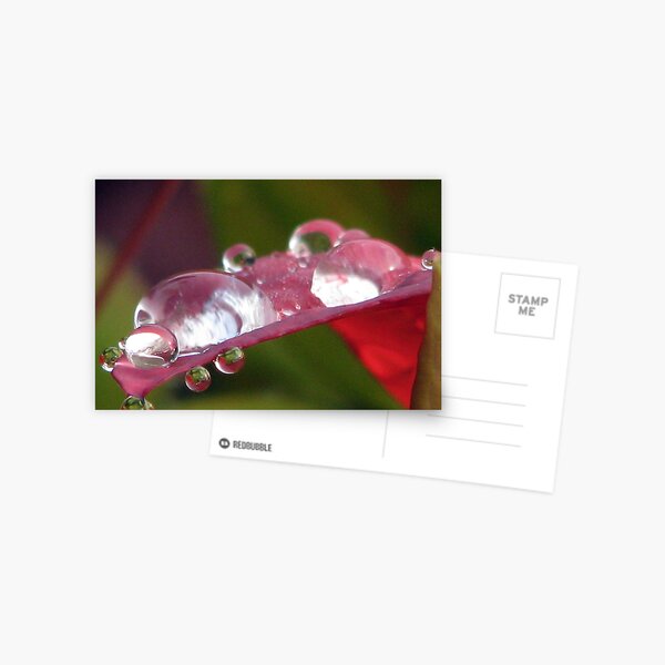 Little Worlds Postcard