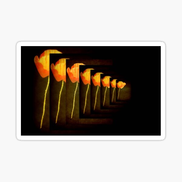 One Poppy © Sticker