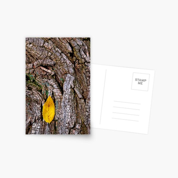 Yellow Postcard