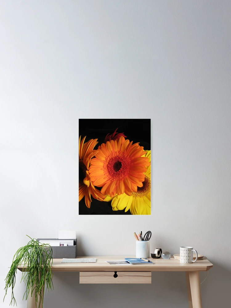 Thumbnail 2 of 3, Poster, Gerberas designed and sold by Patsy Smiles.