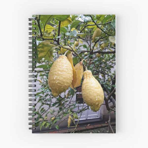 Item preview, Lemons designed and sold by Roberta Angiolani.