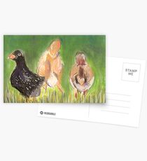 Free Range Postcards