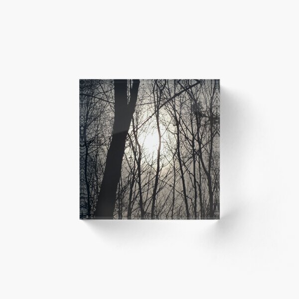 Trees in Shadow Acrylic Block