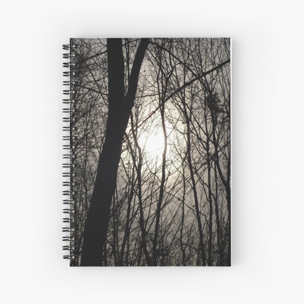 Trees in Shadow Spiral Notebook