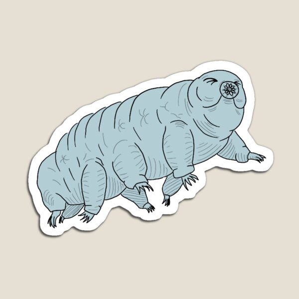 Jaunty single Tardigrade Magnet