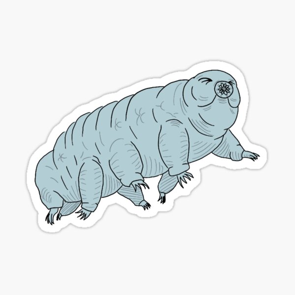 Jaunty single Tardigrade Sticker