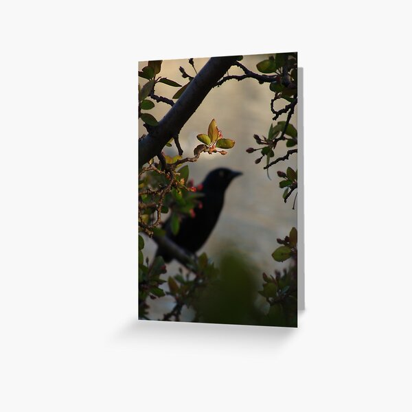 Black Bird and Rose Branches Greeting Card