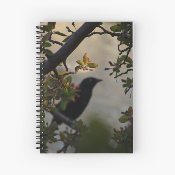 Black Bird and Rose Branches Spiral Notebook