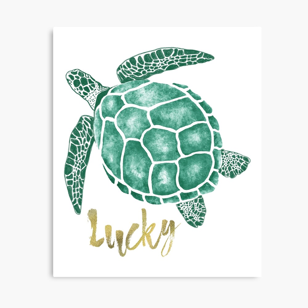 Impression Photo Dessin De Tortue Tortue De Mer Citations De Chance Tortue Aquarelle Par Jeremnis Redbubble