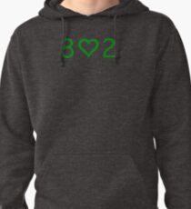 802 Pullover Hoodie