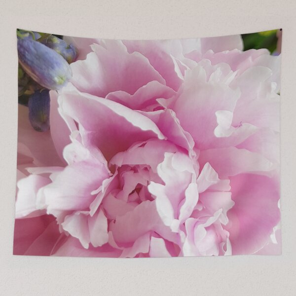 Item preview, Floral Fun - Peony in pink 9 and a hint of blue designed and sold by ellenhenry.