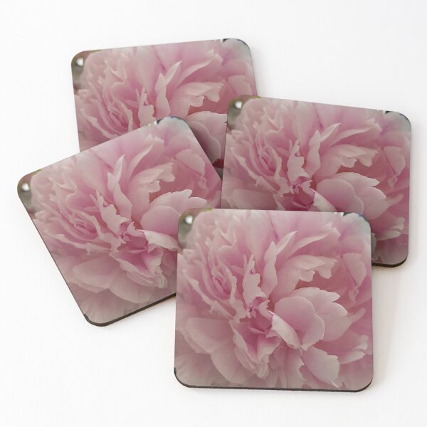 Item preview, Floral Fun - Peony in pink 5 full bloom designed and sold by ellenhenry.