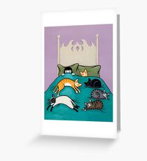 Bed Time with Cats Greeting Card