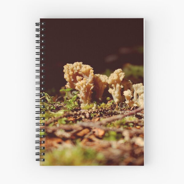 Item preview, Little Clusters designed and sold by Kathleen Daley.