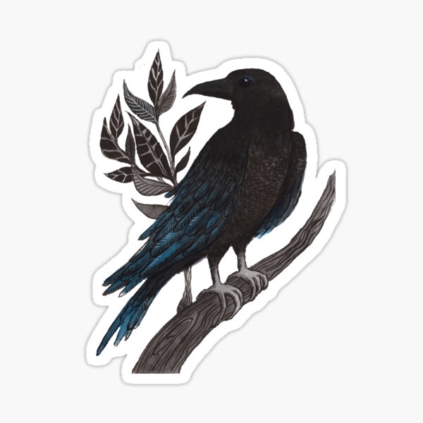 Tattoo Flight Crow Drawing Common Ink Bird Clipart - Raven Silhouette Tattoo,  HD Png Download , Transparent Png I… | Raven tattoo, Silhouette tattoos,  Crows drawing