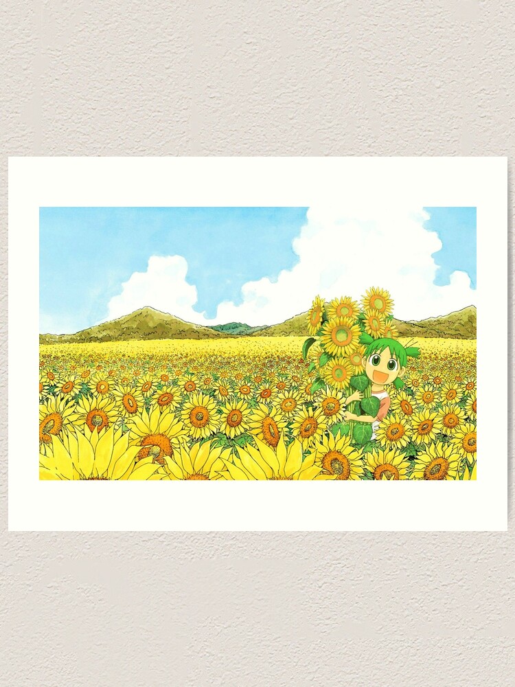 Yotsuba sunflowers Yotsuba sunflowers