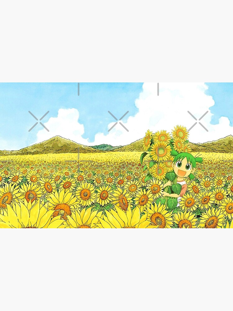 Yotsuba sunflowers