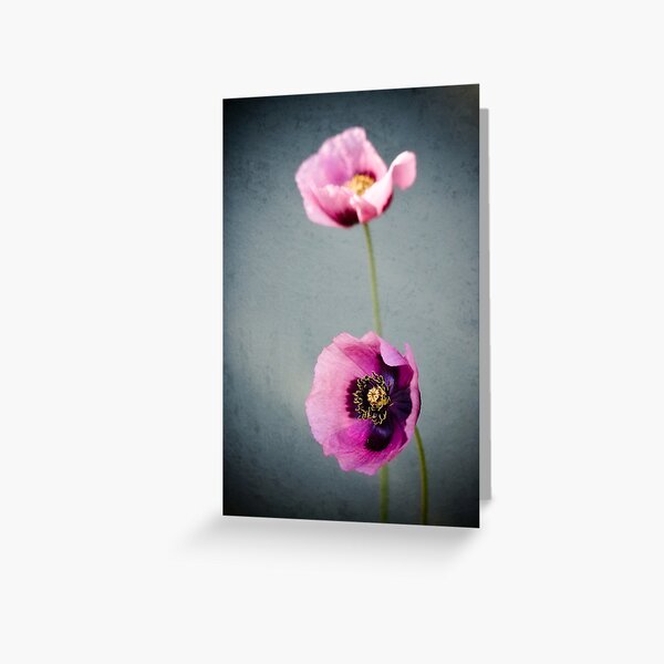 Purple Poppies Greeting Card