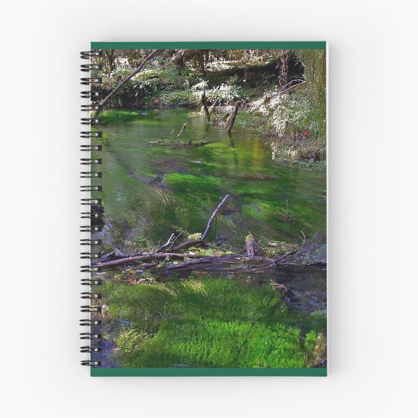 Item preview, Hoh Rain Forest stream designed and sold by Nancy Richard.