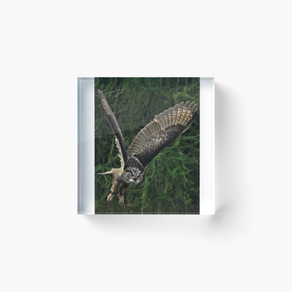 Item preview, Burrowing Owl designed and sold by Ladymoose.