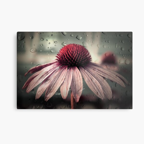 sad solitude Metal Print