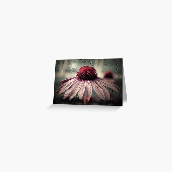 sad solitude Greeting Card
