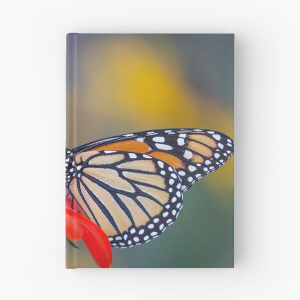 Item preview, Monarch 2018-22 designed and sold by Thomasyoung.