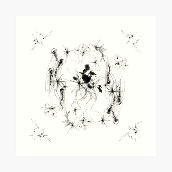 Art Print