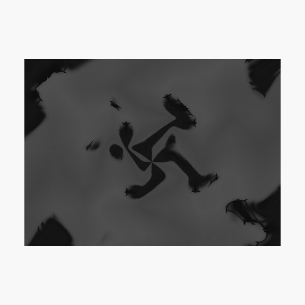 Crow Skin #7 Photographic Print