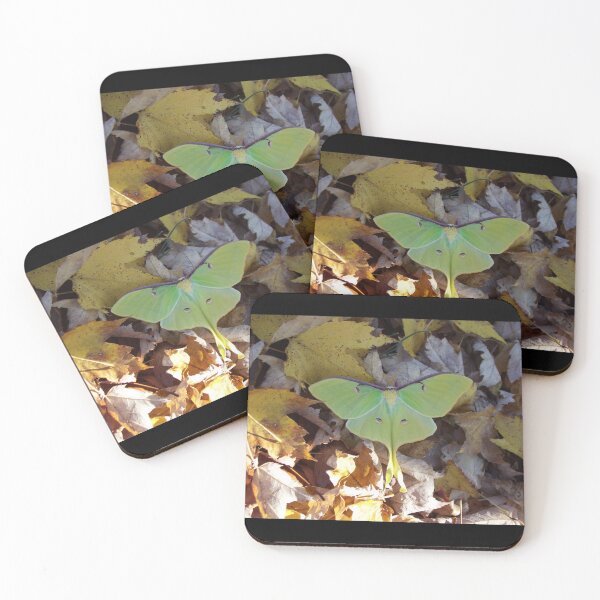 Item preview, "Luna Moth in Fall Leaves" designed and sold by Robert Regenold's Art Shop.