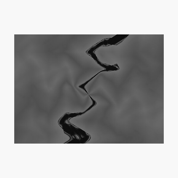 Crow Skin #14 Photographic Print