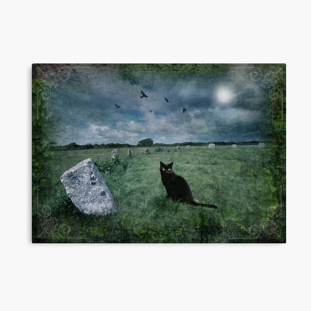 Cornish Black Cat Canvas Print