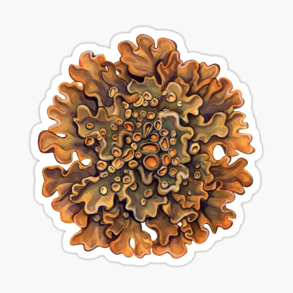 Item preview, Maritime Sunburst Lichen designed and sold by JadaFitch.