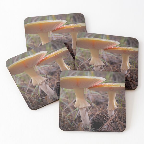 Item preview, Mushrooms designed and sold by Zina Stromberg.
