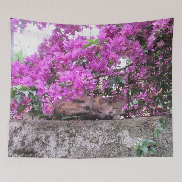 Item preview, Italian Cat designed and sold by Tatiana Novak.