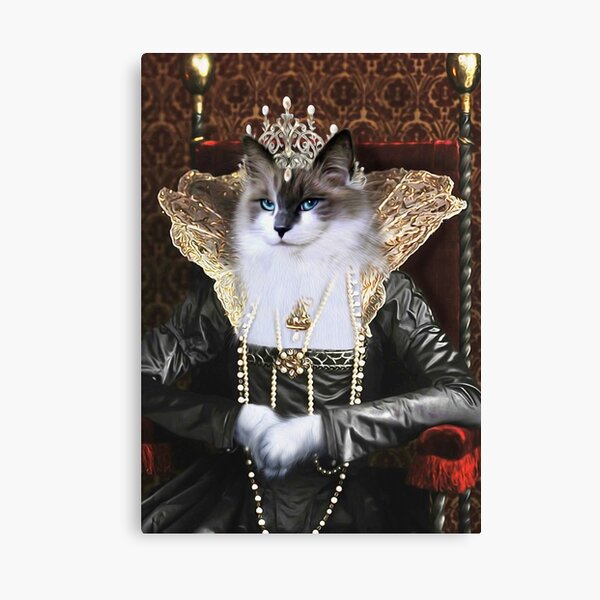 Cat Portrait - Skyler Canvas Print