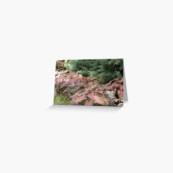 LANDSCAPE Greeting Card