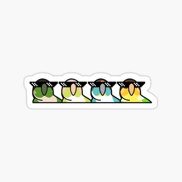 Cool Party Parrot Green Cheek Conures Sticker