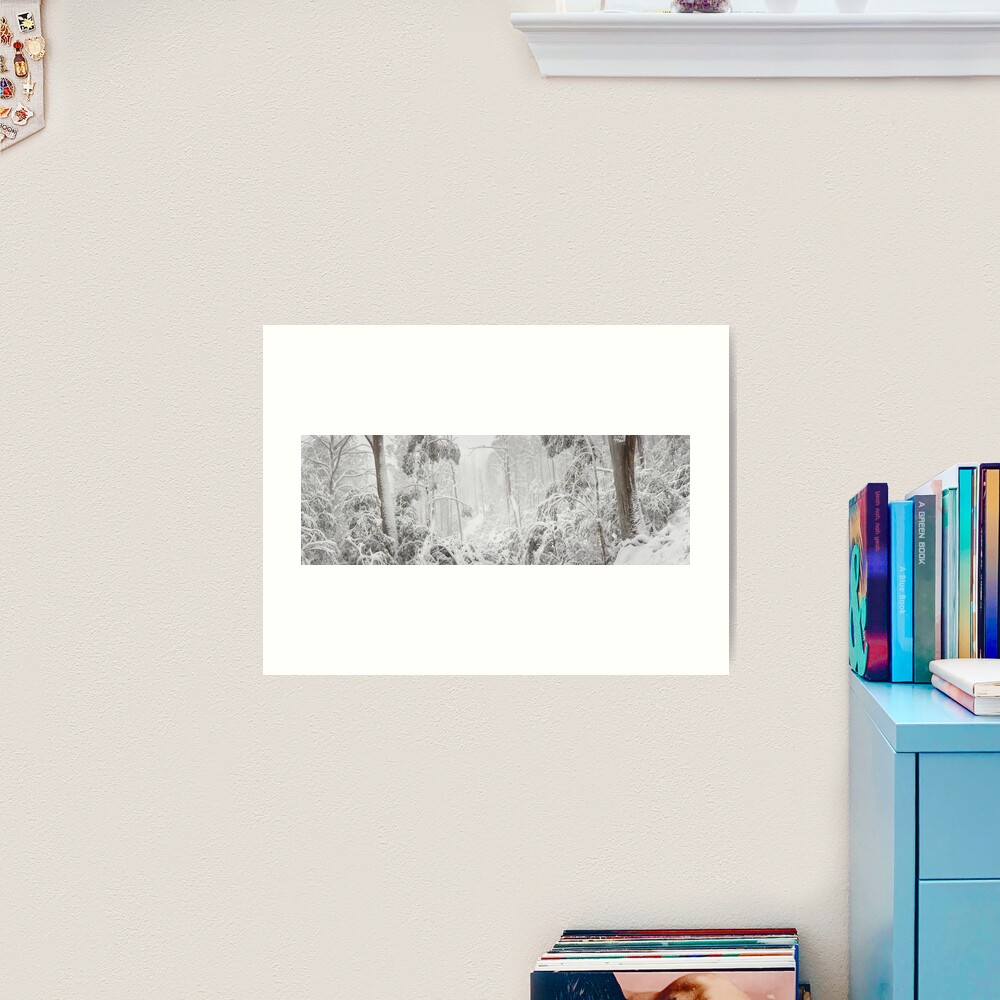 Snowy Trees, Alpine National Park, Victoria, Australia Art Print