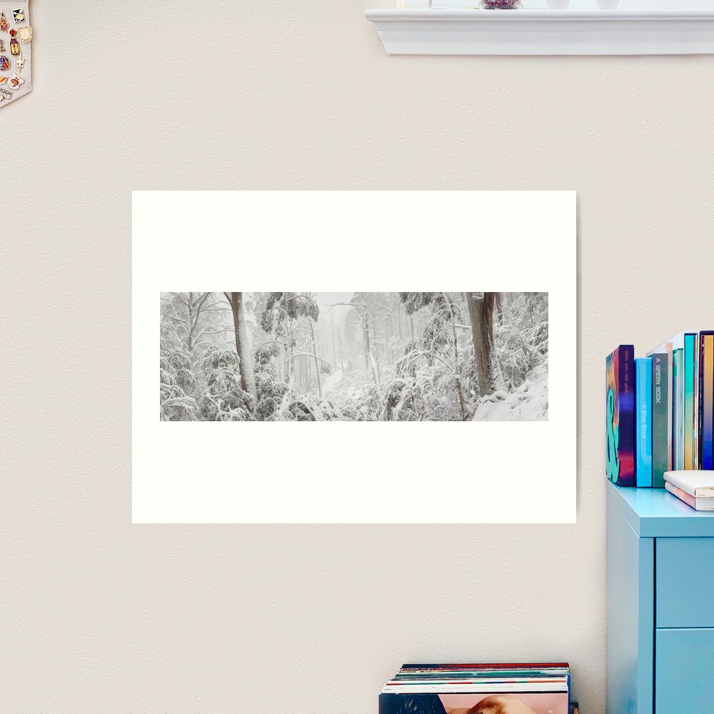Snowy Trees, Alpine National Park, Victoria, Australia Art Print