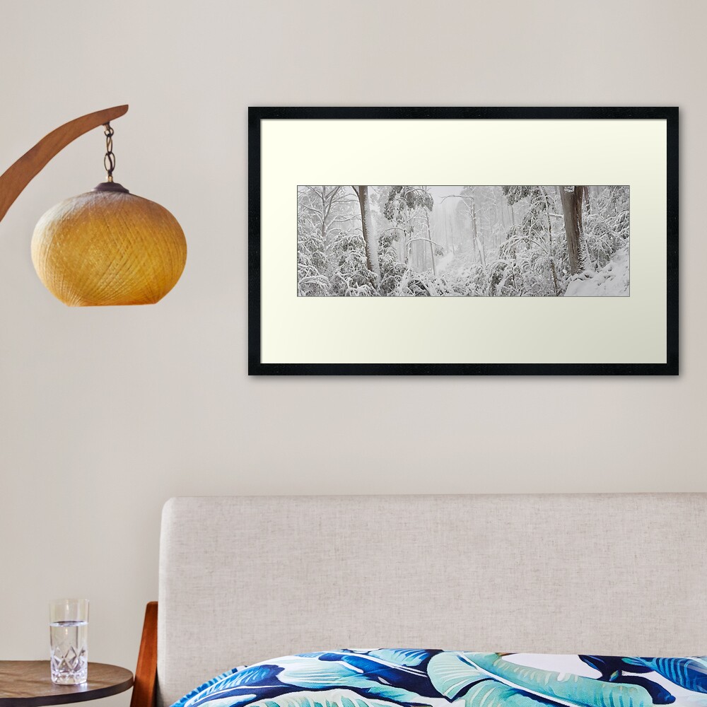 Snowy Trees, Alpine National Park, Victoria, Australia Framed Art Print