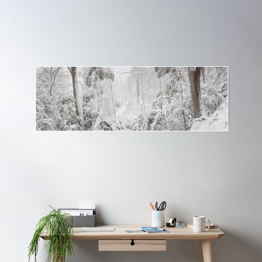 Snowy Trees, Alpine National Park, Victoria, Australia Poster