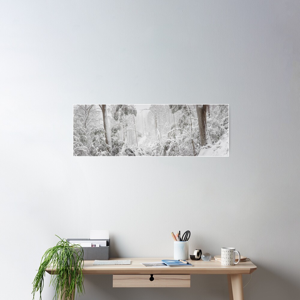 Snowy Trees, Alpine National Park, Victoria, Australia Poster