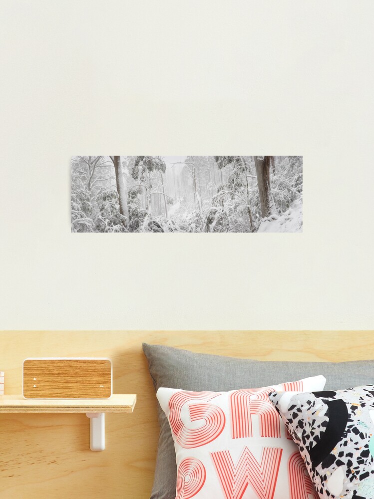 Thumbnail 1 of 3, Photographic Print, Snowy Trees, Alpine National Park, Victoria, Australia designed and sold by Michael Boniwell.