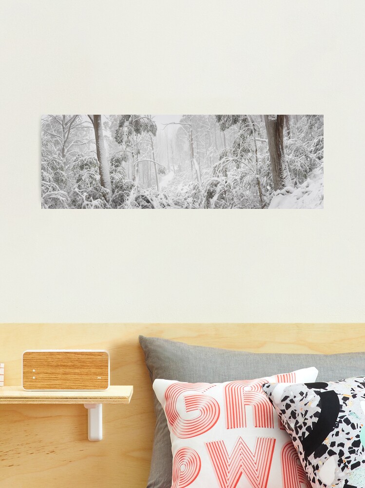 Thumbnail 1 of 3, Photographic Print, Snowy Trees, Alpine National Park, Victoria, Australia designed and sold by Michael Boniwell.